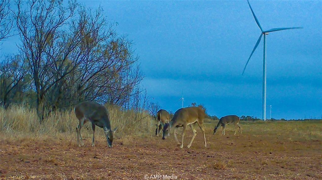 380 Haskell Tx 79521 Haskell, TX 79521 - Photo 17 of 40