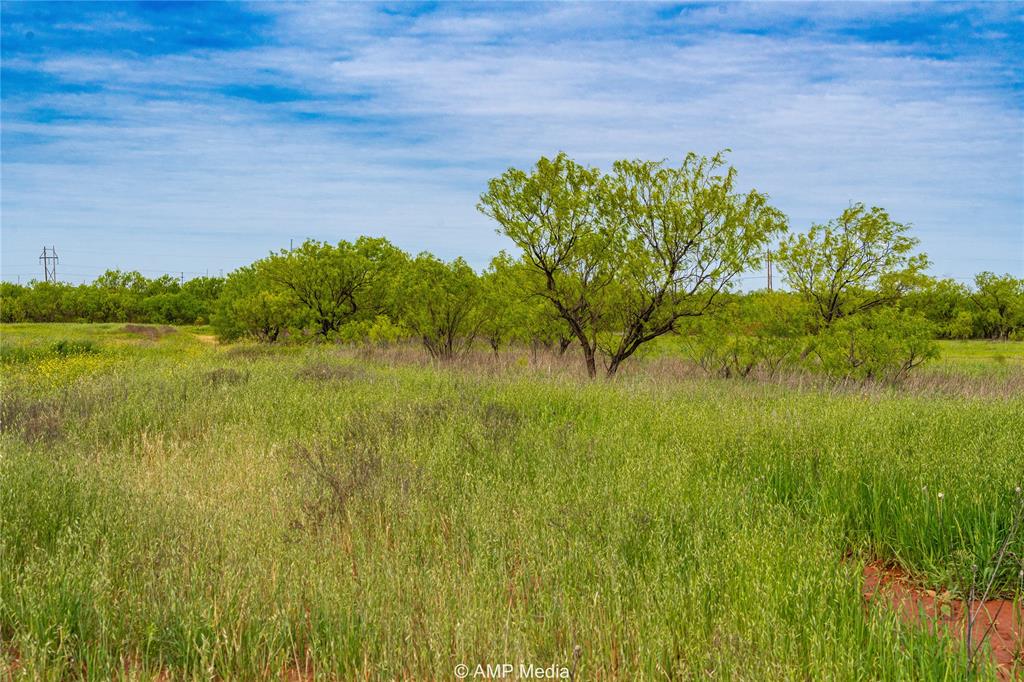 380 Haskell Tx 79521 Haskell, TX 79521 - Photo 20 of 40 View of nature