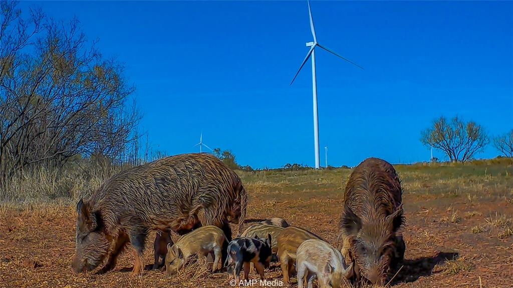 380 Haskell Tx 79521 Haskell, TX 79521 - Photo 27 of 40