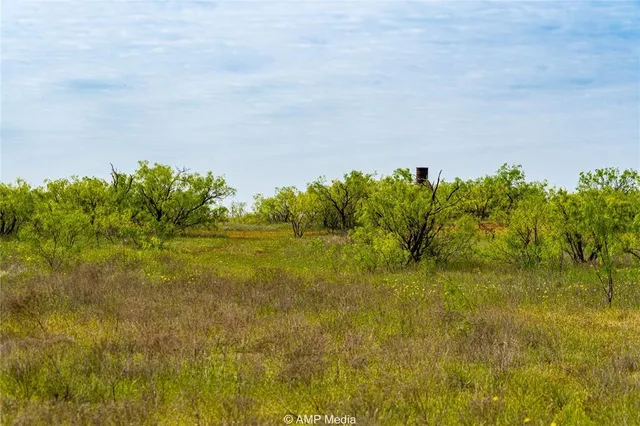 $497,227 | 380 Haskell Tx 79521, Haskell, TX 79521