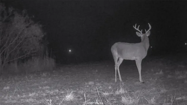 $497,227 | 380 Haskell Tx 79521, Haskell, TX 79521