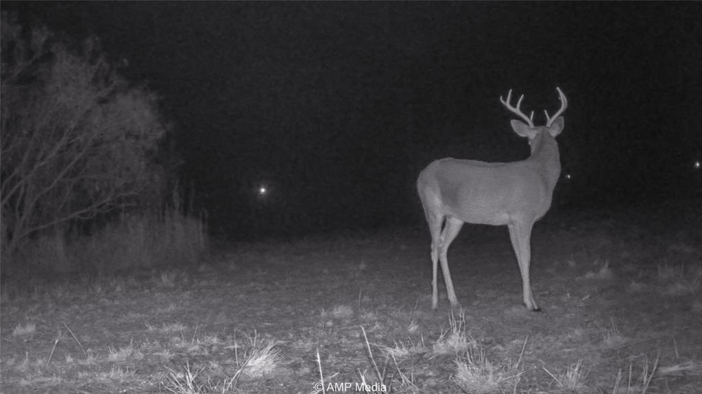 380 Haskell Tx 79521 Haskell, TX 79521 - Photo 29 of 40 View of interior details