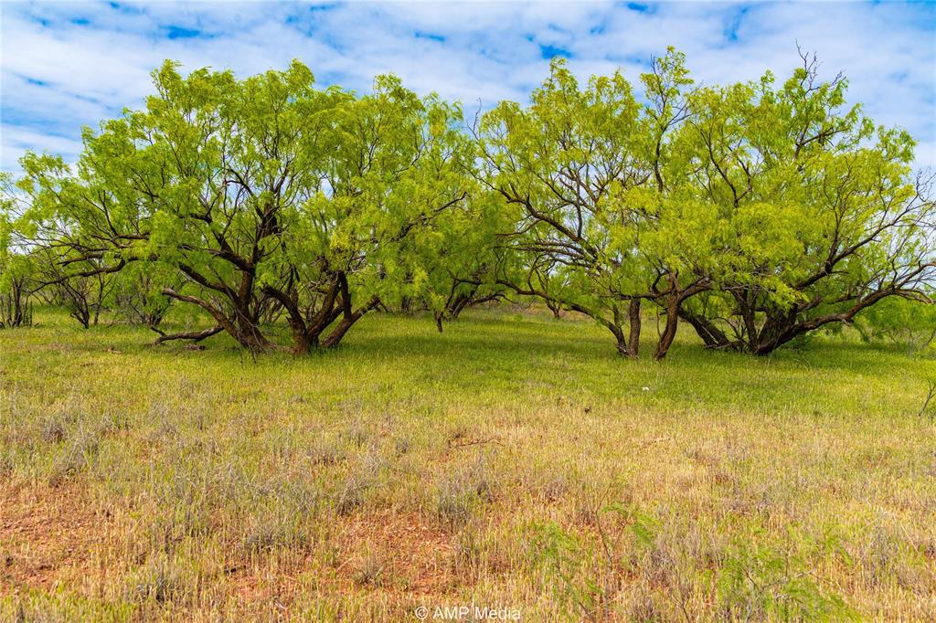 380 Haskell Tx 79521 Haskell, TX 79521 - Photo 31 of 40 View of local wilderness