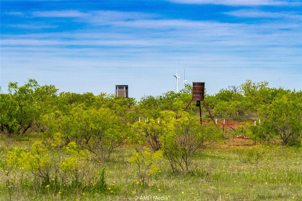 380 Haskell Tx 79521 Haskell, TX 79521 - Photo 33 of 40