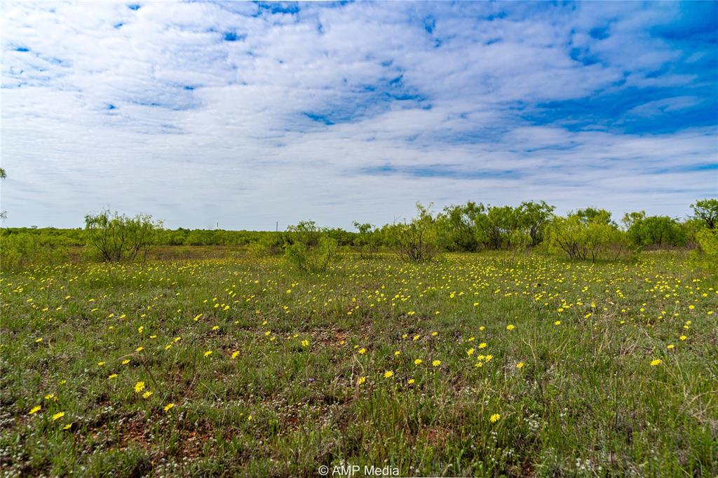 380 Haskell Tx 79521 Haskell, TX 79521 - Photo 36 of 40