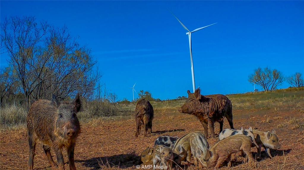 380 Haskell Tx 79521 Haskell, TX 79521 - Photo 38 of 40 View of yard