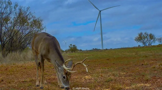 $497,227 | 380 Haskell Tx 79521, Haskell, TX 79521