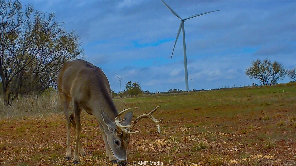 380 Haskell Tx 79521 Haskell, TX 79521 - Photo 6 of 40