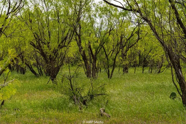 $497,227 | 380 Haskell Tx 79521, Haskell, TX 79521