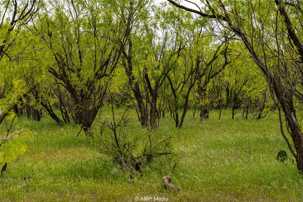 380 Haskell Tx 79521 Haskell, TX 79521 - Photo 7 of 40