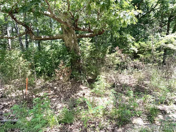 $2,500 | 0 Magnolia Blossom Drive, New Haven, MO 63068
