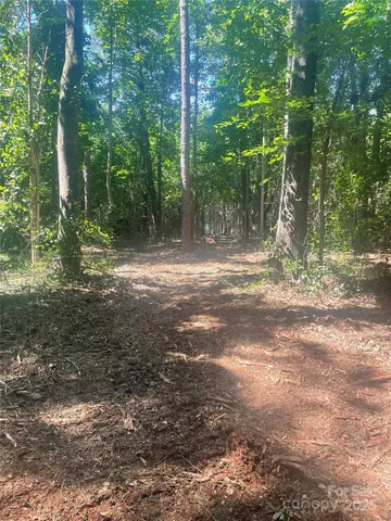 a view of a yard with trees in the background