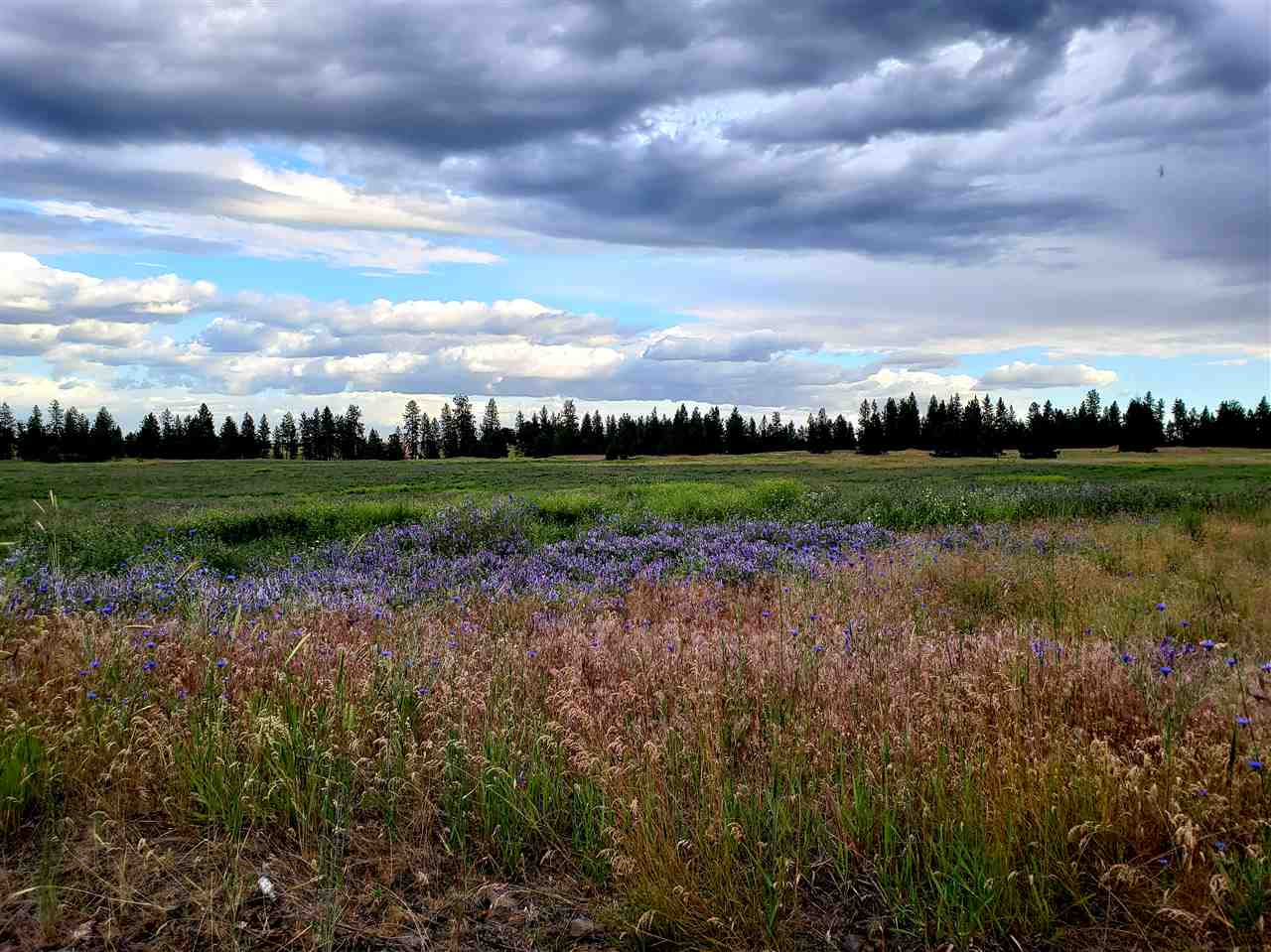 14611 West Craig Road Spokane, WA 99224 - Photo 1 of 3