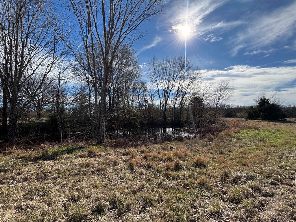 2139 Kemp Tx 75143, Unit 2139A Kemp, TX 75143 - Photo 2 of 2