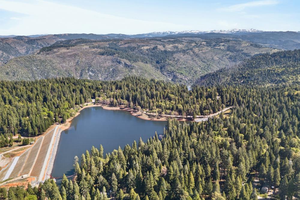2925 Maple Avenue Pollock Pines, CA 95726 - Photo 42 of 42 a view of a bunch of trees and bushes