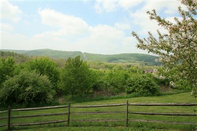 0 Mine Hill Road Riegelsville, PA 18077 - Photo 2 of 10 a view of a field with a tree in the background