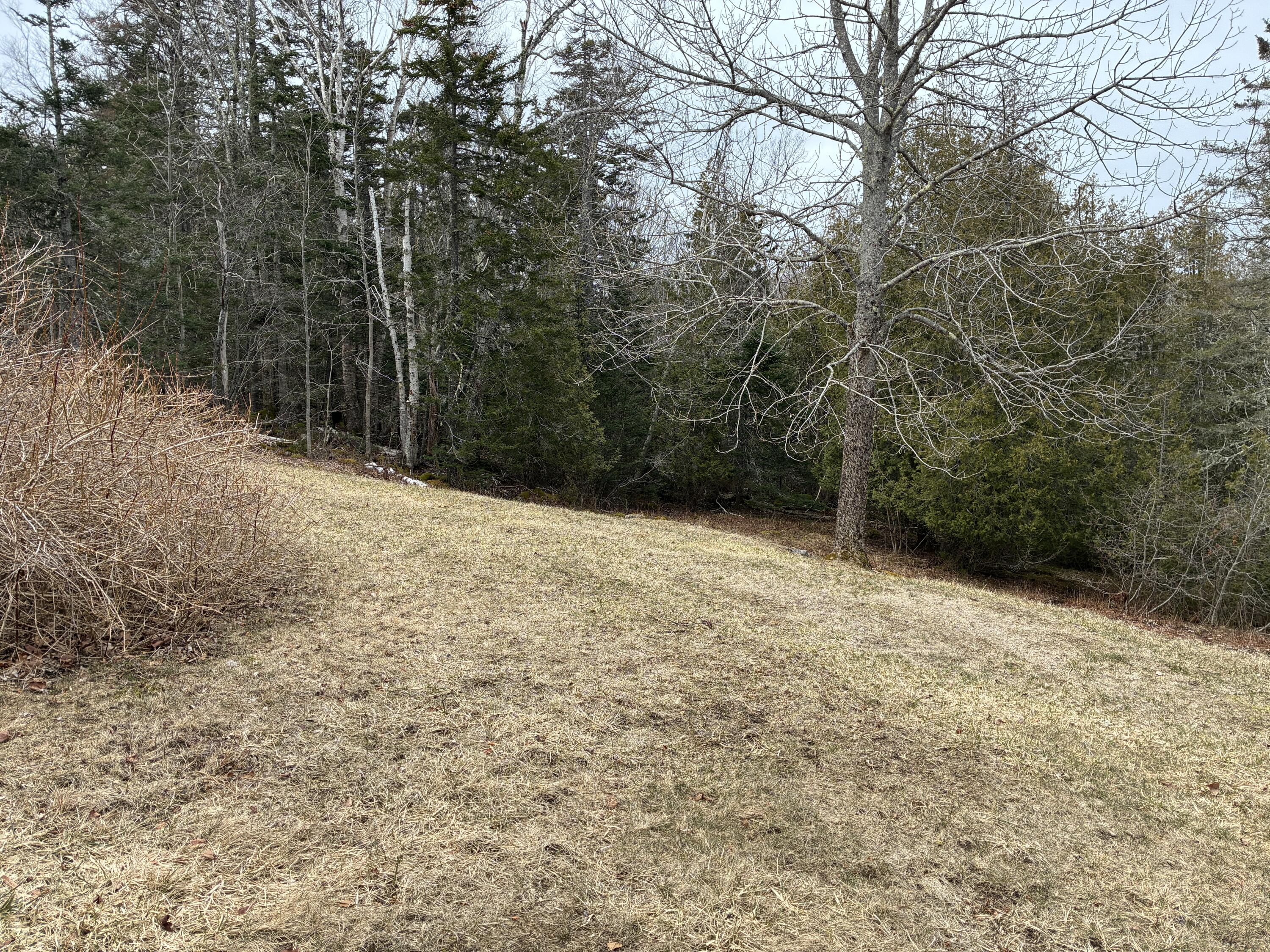 743 South Gouldsboro Road Gouldsboro, ME 04607 - Photo 33 of 38 Back acreage.