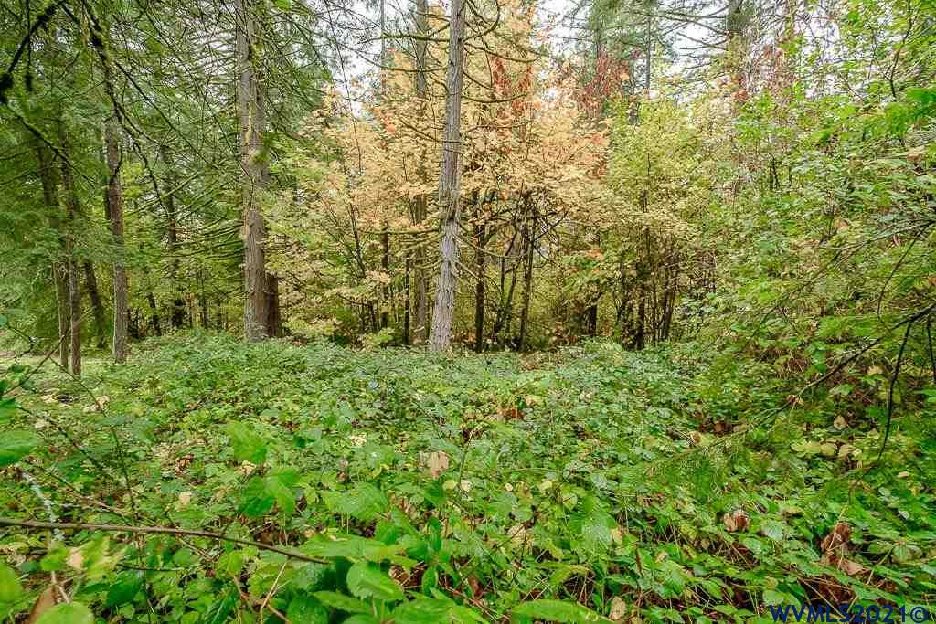 Bramblewood Lane Albany, OR 97321 - Photo 7 of 34