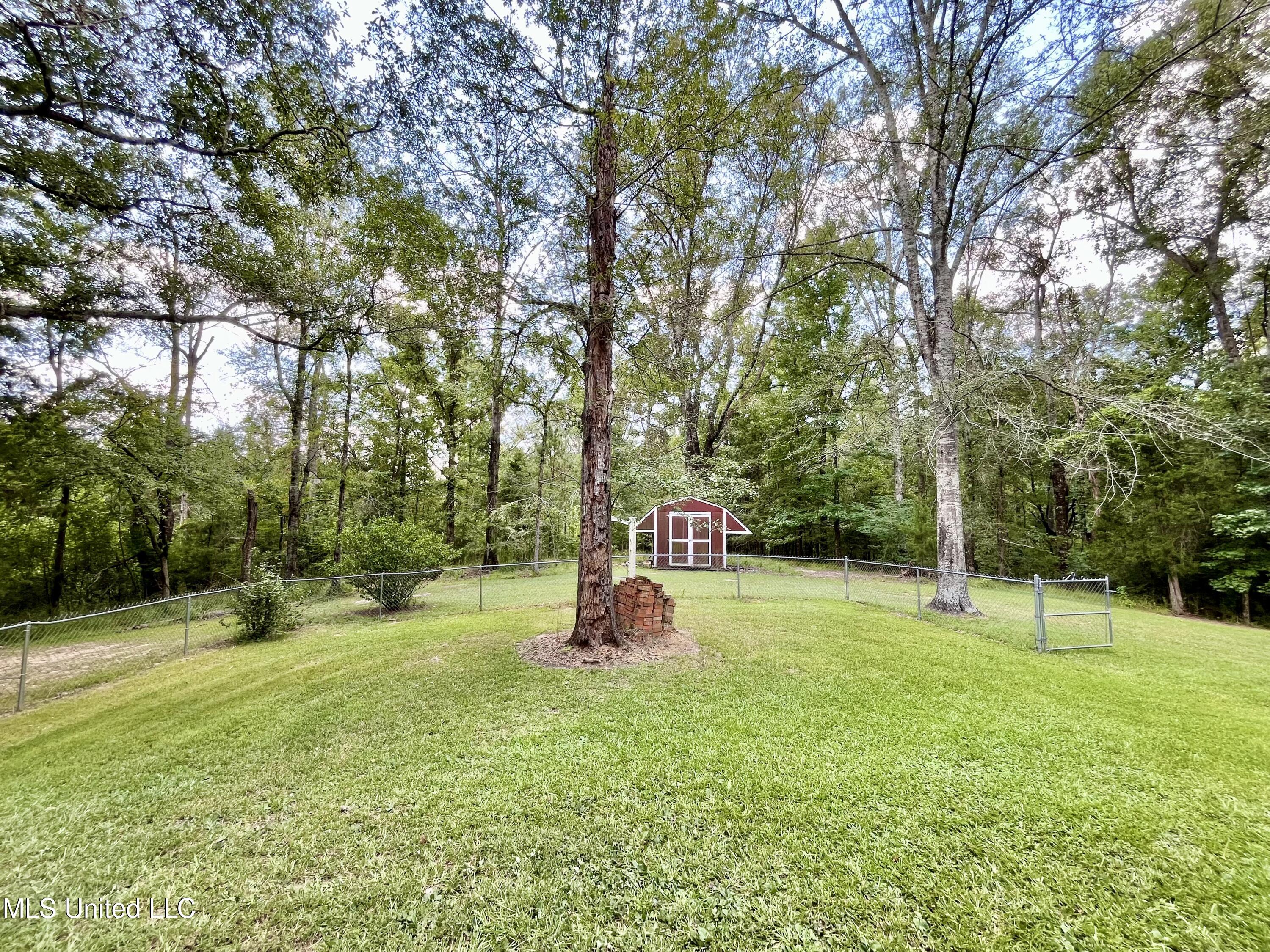 2074 Lake Copiah Road Crystal Springs, MS 39059 - Photo 53 of 56 IMG_0181