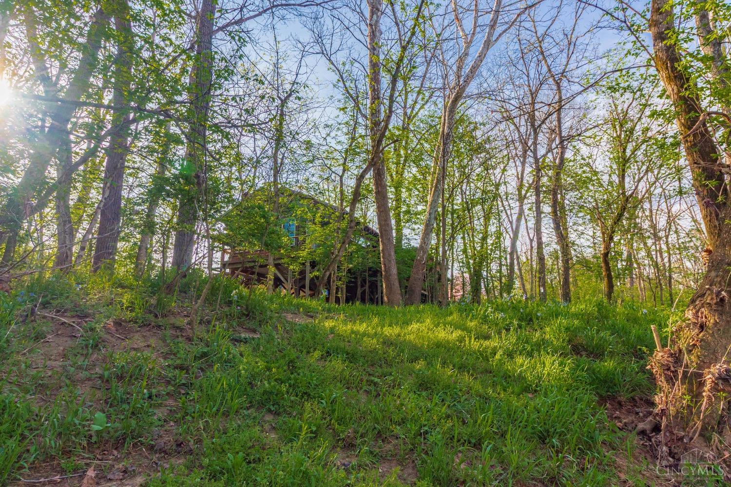 1225 Stoney Road Peebles, OH 45660 - Photo 52 of 74
