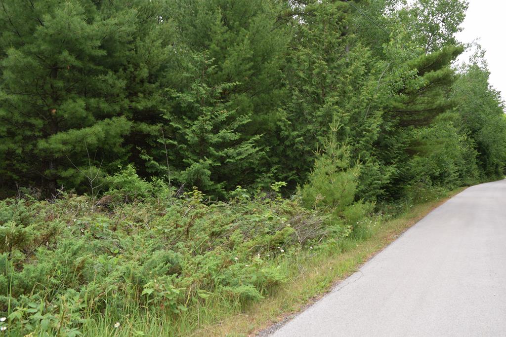 0 West Pine Ridge Circle Baileys Harbor, WI 54202 - Photo 2 of 3