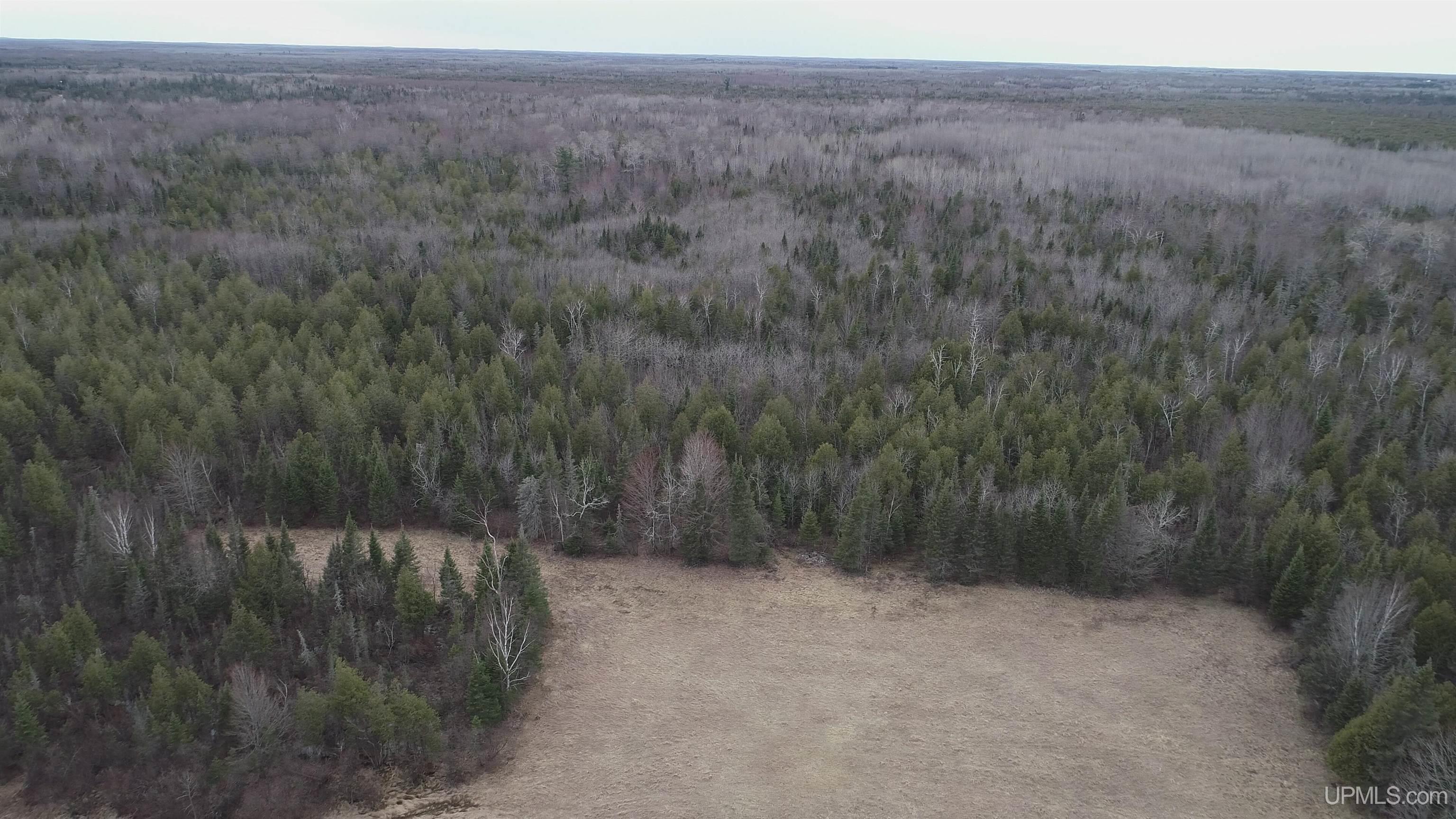 40-acres Trombley 35th Road Rock, MI 49880 - Photo 47 of 62