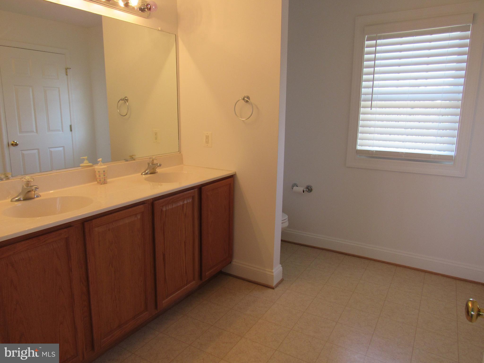 722 Blossom Tree Road Culpeper, VA 22701 - Photo 16 of 25 Master Bath w/ Double Vanity