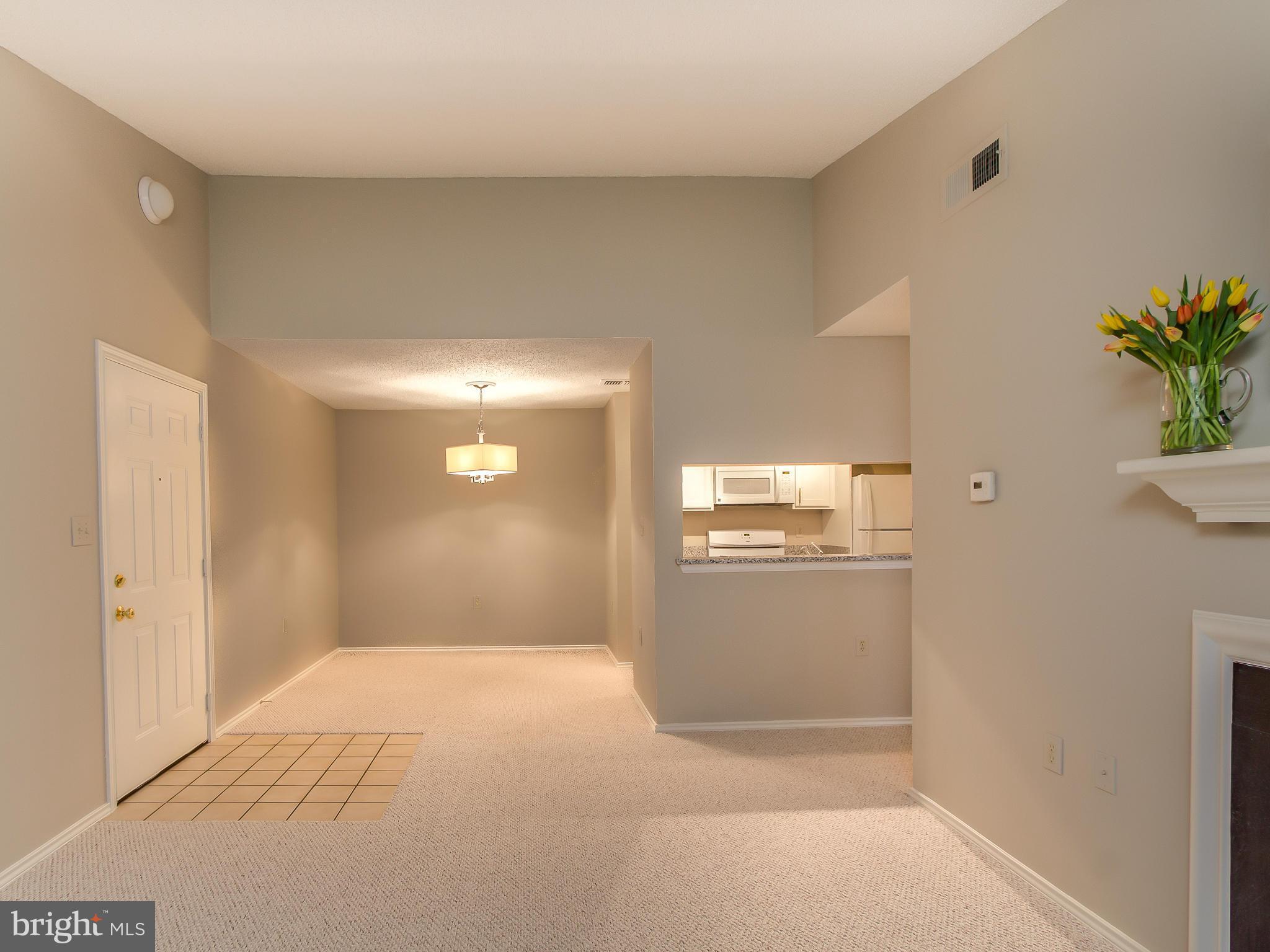20991 Timber Ridge Terrace, Unit 303 Ashburn, VA 20147 - Photo 11 of 30 Dining Room