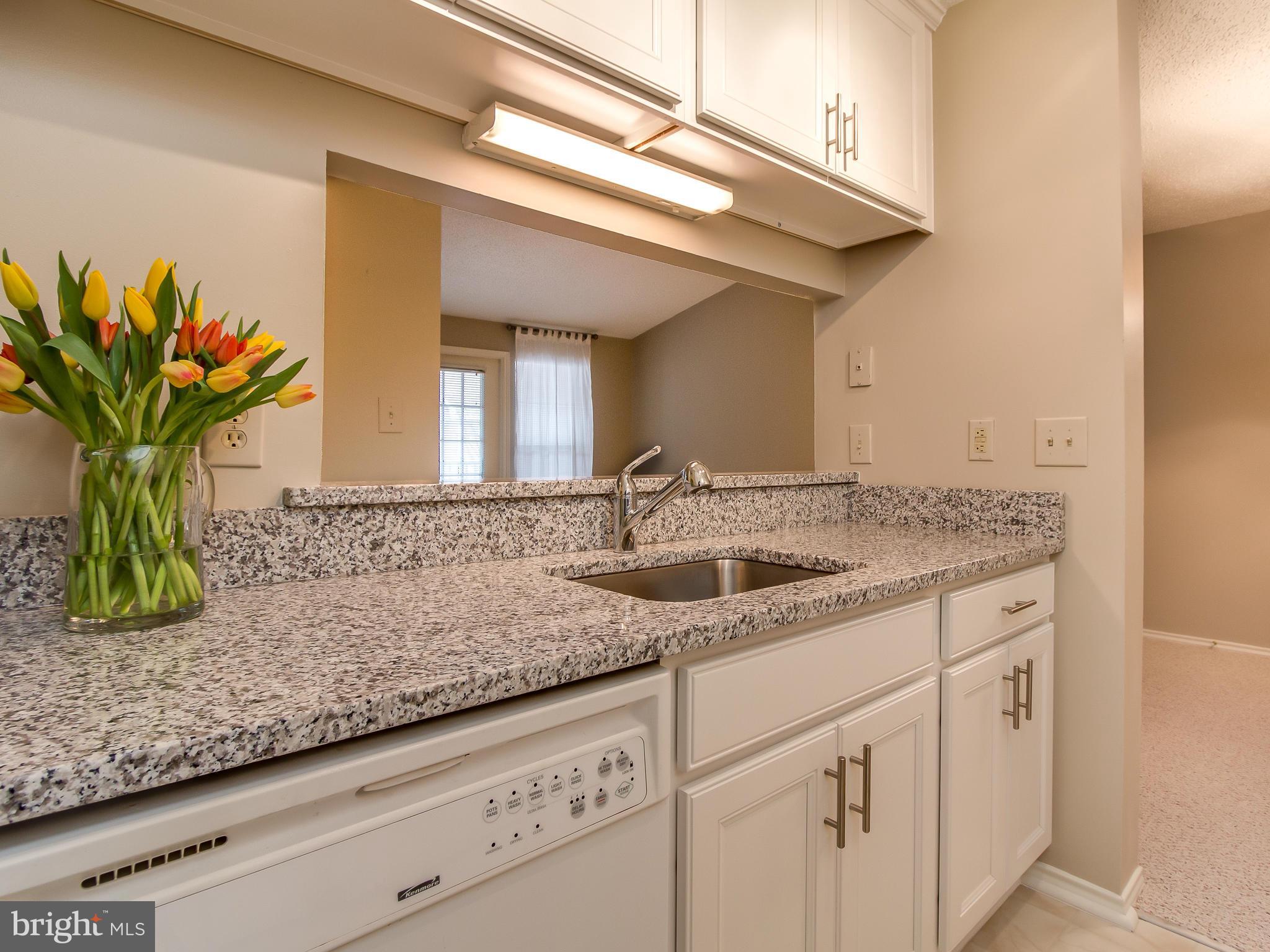 20991 Timber Ridge Terrace, Unit 303 Ashburn, VA 20147 - Photo 3 of 30 Kitchen