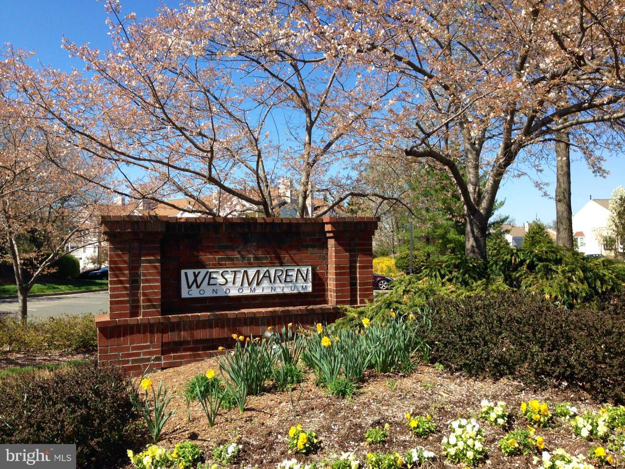 20991 Timber Ridge Terrace, Unit 303 Ashburn, VA 20147 - Photo 30 of 30 Community