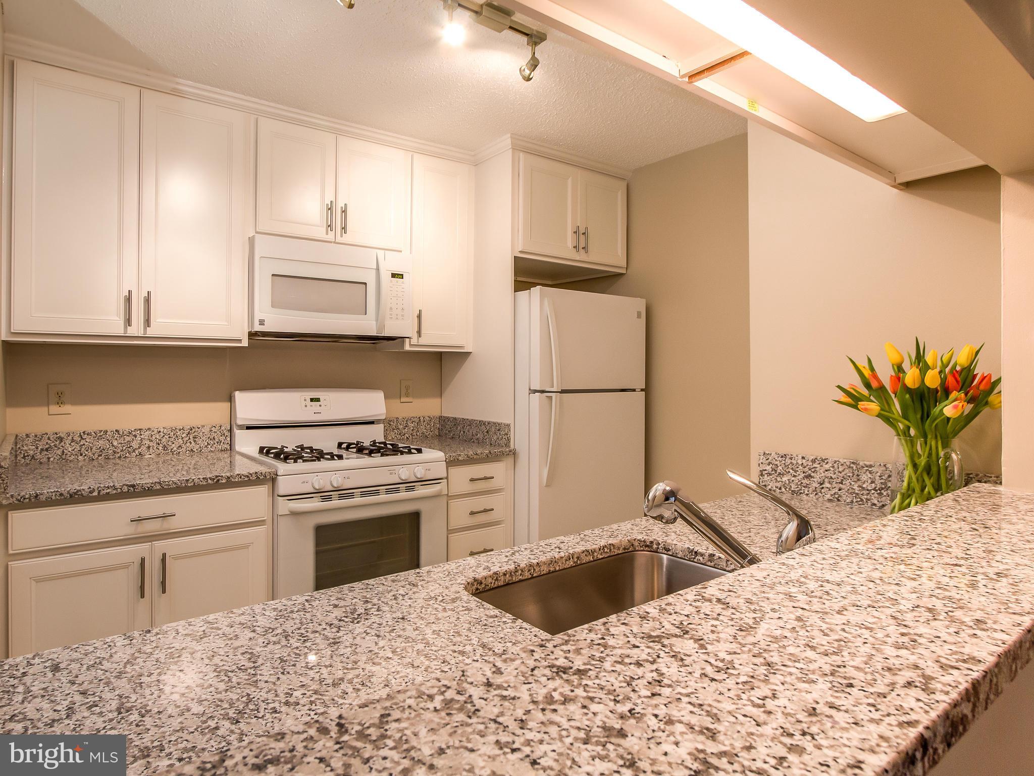 20991 Timber Ridge Terrace, Unit 303 Ashburn, VA 20147 - Photo 4 of 30 Kitchen