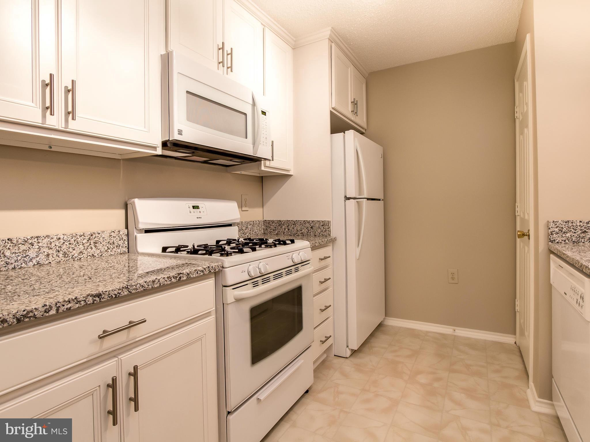 20991 Timber Ridge Terrace, Unit 303 Ashburn, VA 20147 - Photo 5 of 30 Kitchen