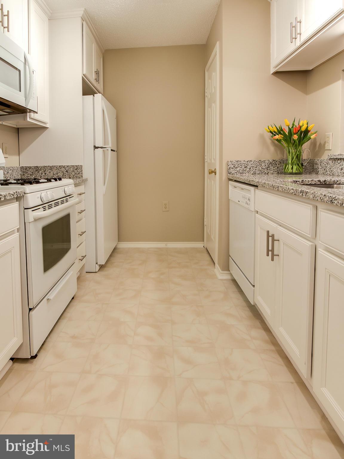 20991 Timber Ridge Terrace, Unit 303 Ashburn, VA 20147 - Photo 6 of 30 Kitchen