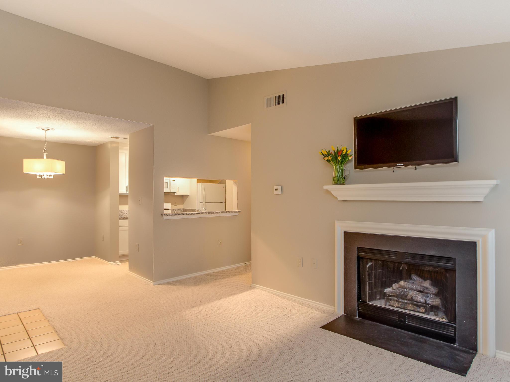 20991 Timber Ridge Terrace, Unit 303 Ashburn, VA 20147 - Photo 7 of 30 Family Room