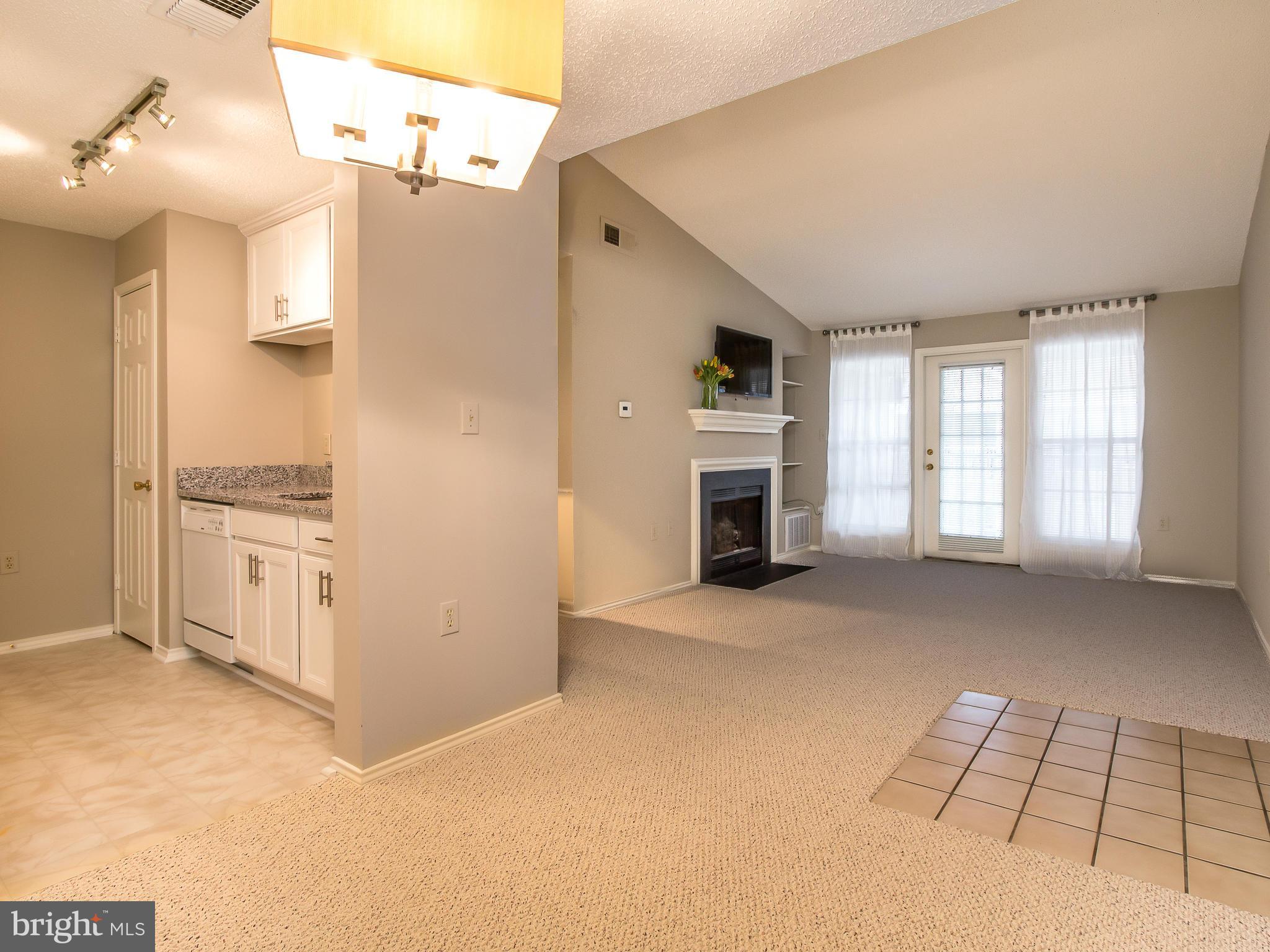 20991 Timber Ridge Terrace, Unit 303 Ashburn, VA 20147 - Photo 8 of 30 Family Room