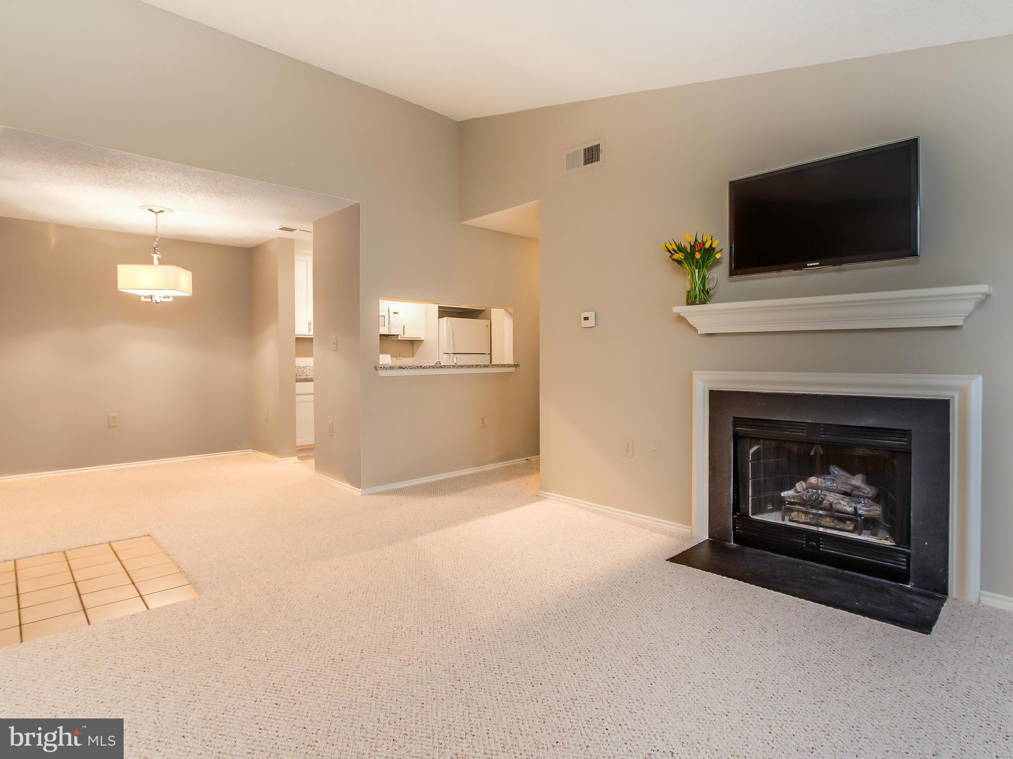20991 Timber Ridge Terrace, Unit 303 Ashburn, VA 20147 - Photo 9 of 30 Family Room