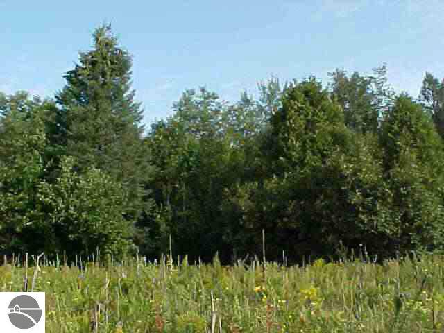 0 Barlow Road Mikado, MI 48745 - Photo 2 of 3 1763337-1.JPG