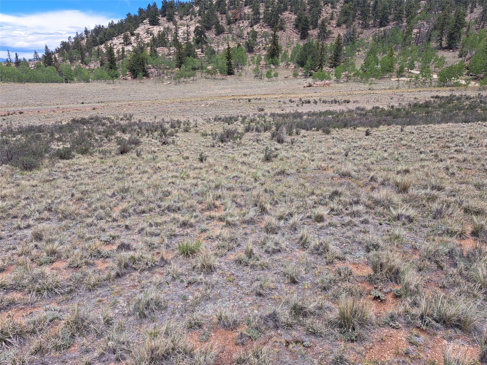 80 Longbow Court Como, CO 80456 - Photo 4 of 24 a view of dirt field with trees