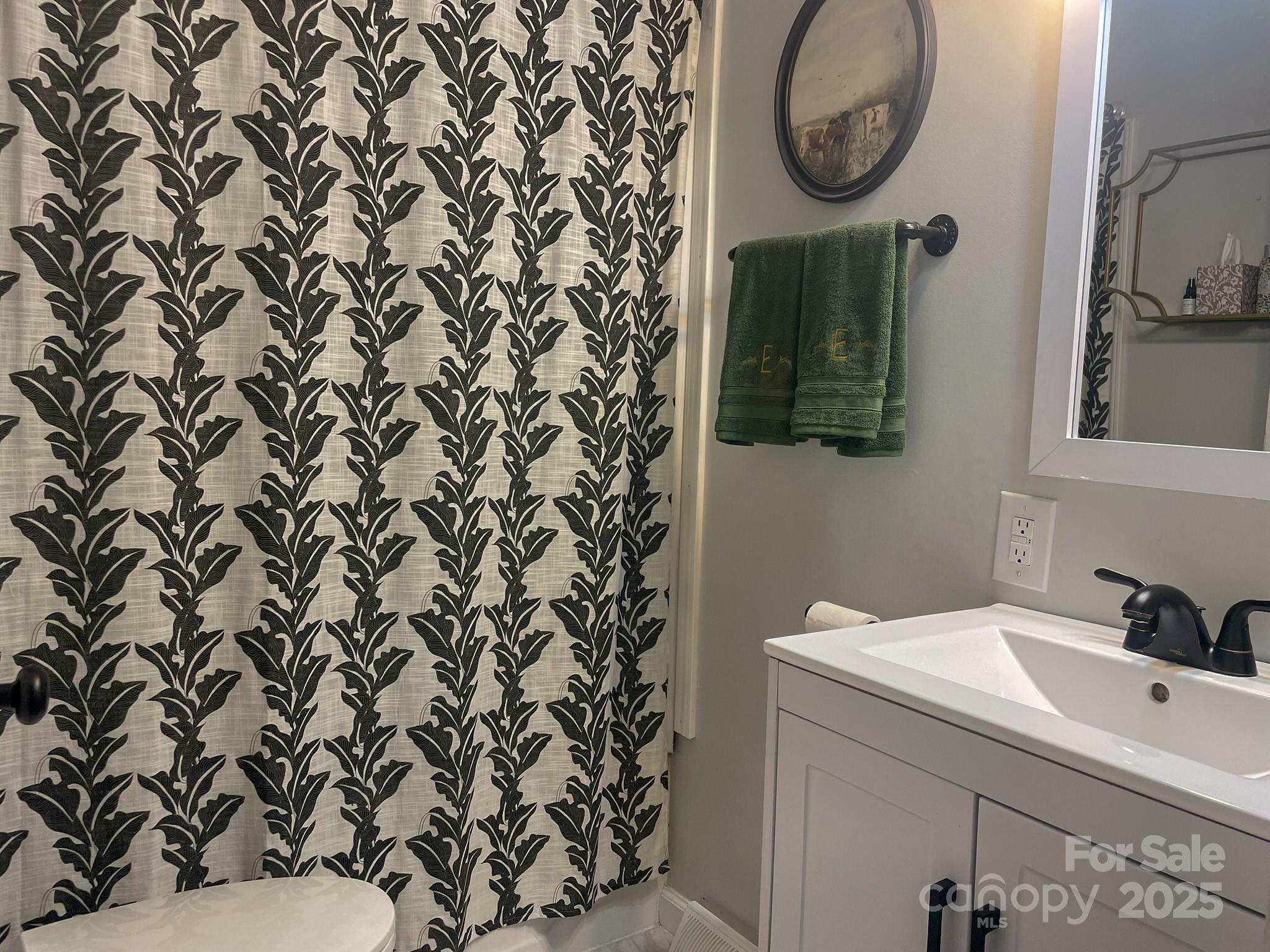 107 Byrd Street Morganton, NC 28655 - Photo 14 of 46 a bathroom with a sink and a mirror