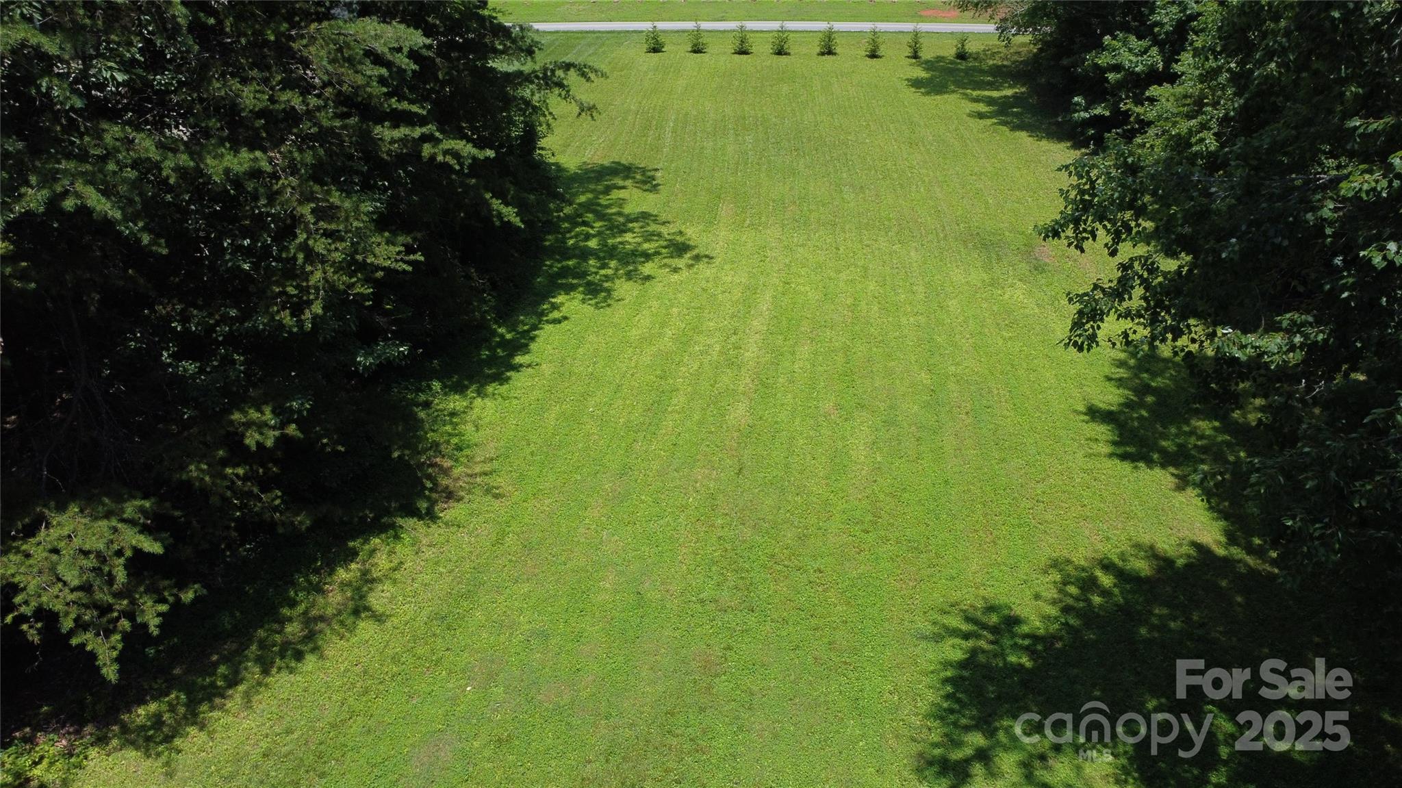 107 Byrd Street Morganton, NC 28655 - Photo 44 of 46 a view of a lake with a garden
