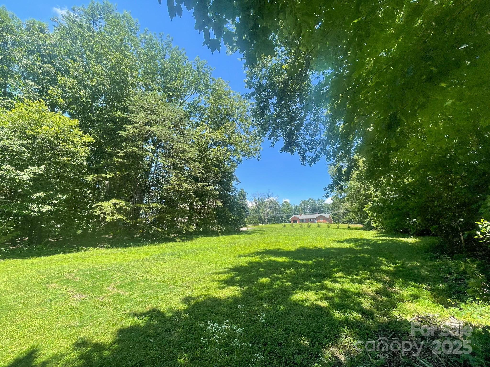 107 Byrd Street Morganton, NC 28655 - Photo 45 of 46 a view of a field with a tree