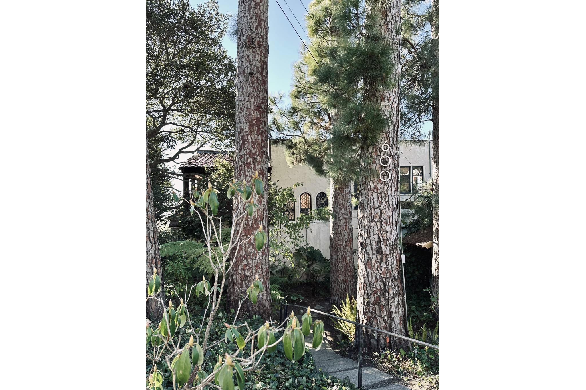 600 San Luis Road Berkeley, CA 94707 - Photo 2 of 24