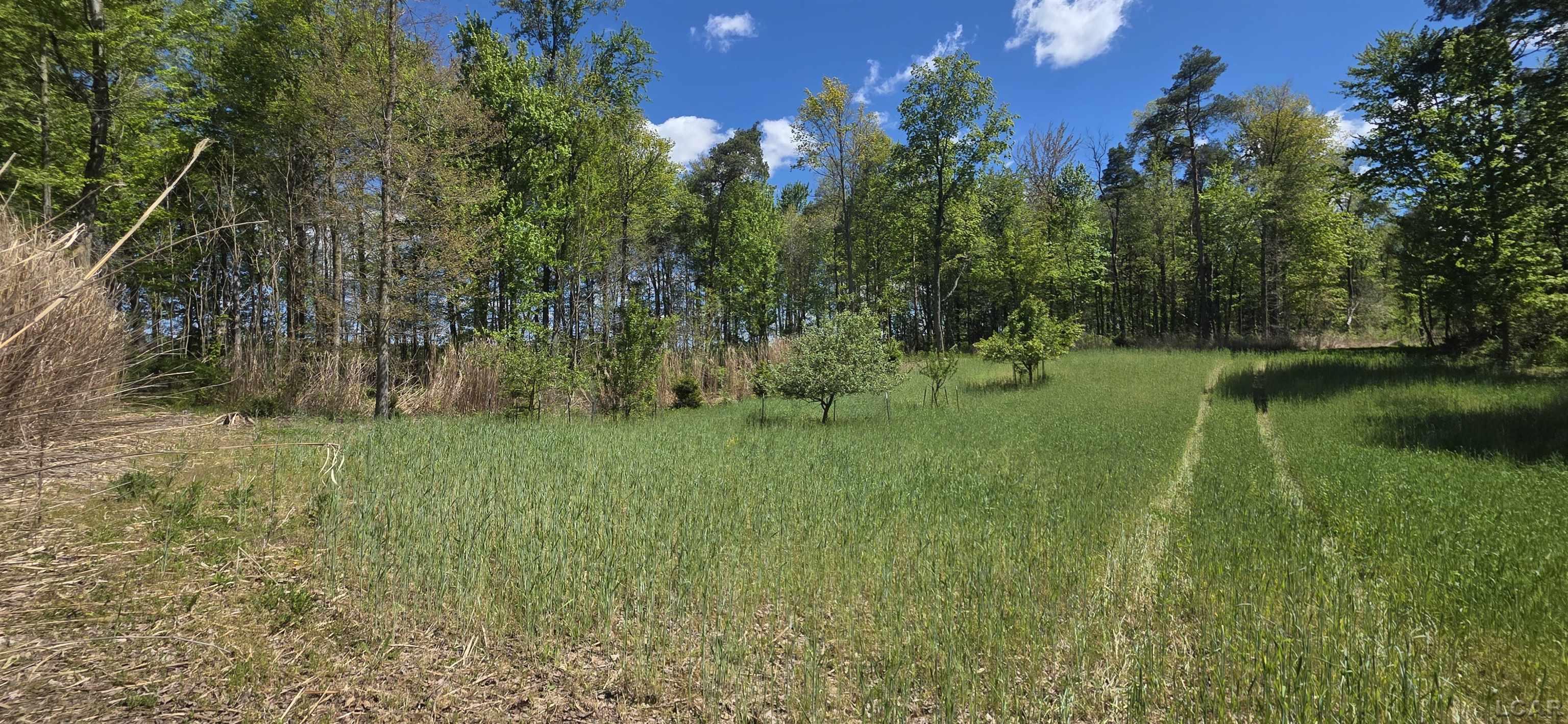 15252 27 Mile Road Albion, MI 49224 - Photo 11 of 57