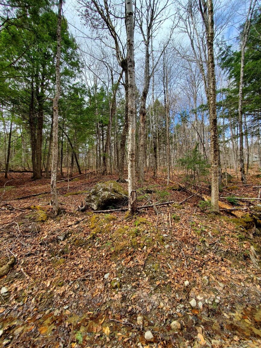 0 Sandy Beach Road Danforth, ME 04424 - Photo 5 of 33