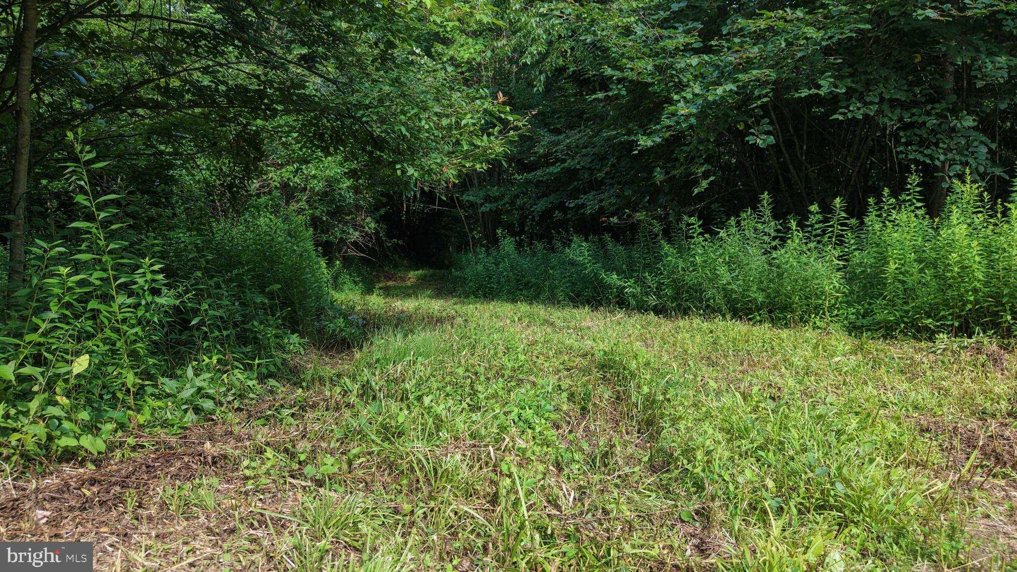 552 Wilson Road Parker, PA 16049 - Photo 15 of 60 Gallery Image 15