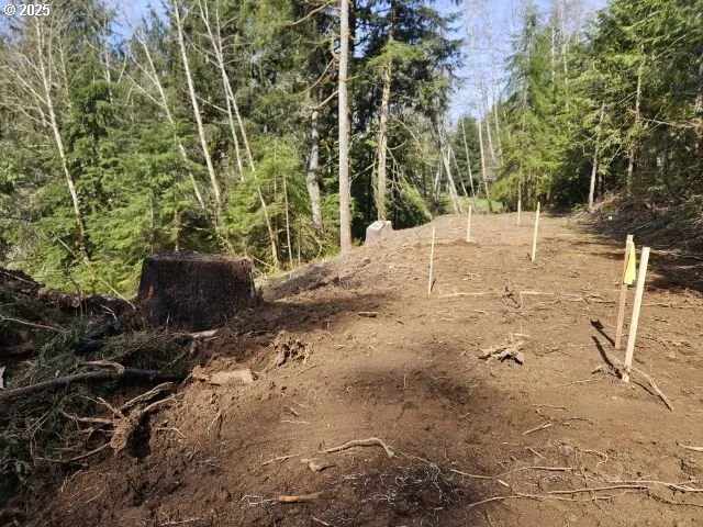 a view of a house with a yard and a forest