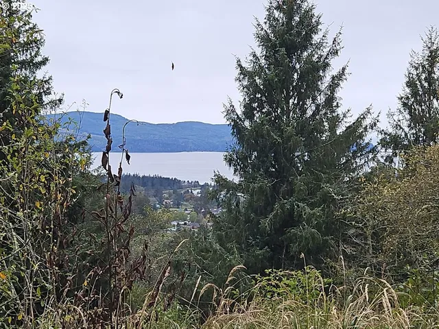 an aerial view of a house with a garden and trees