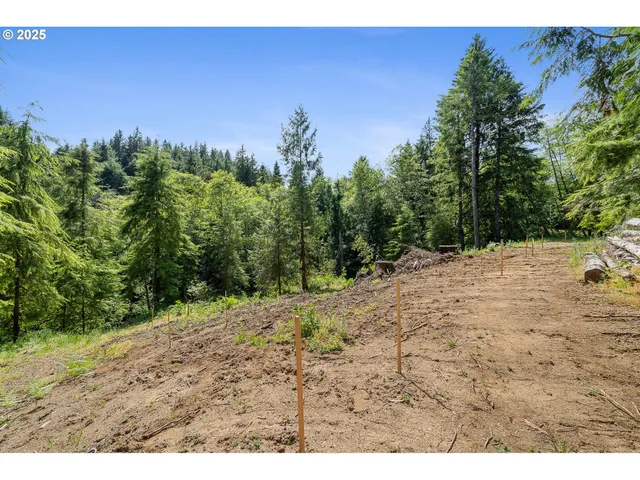 a view of a yard with a tree