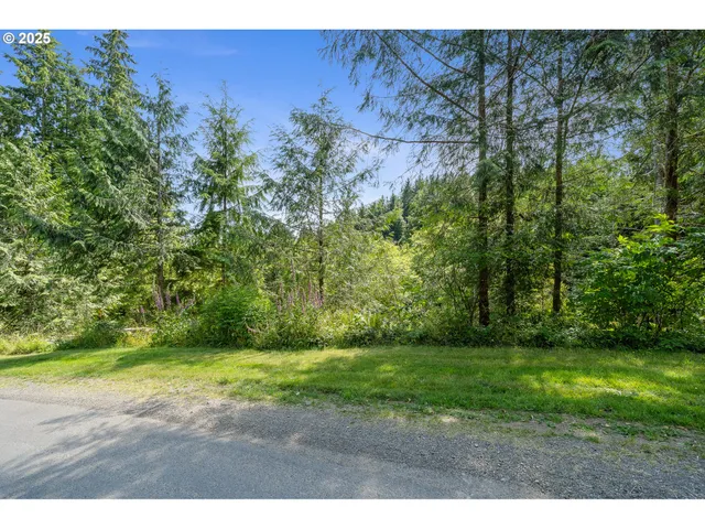 a view of a green field with lots of bushes