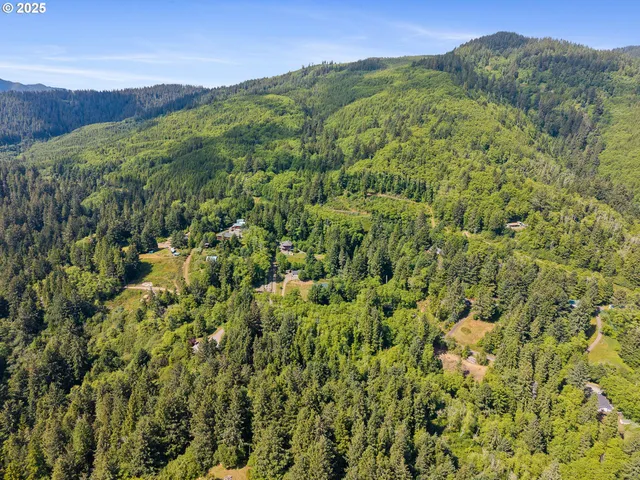 a view of a lush green hillside and a houses